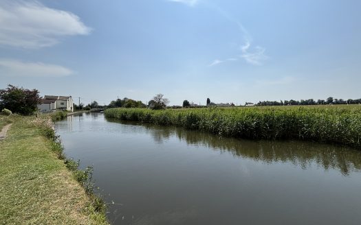 Canal Bank, L40