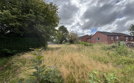 Red Cat Lane, L40